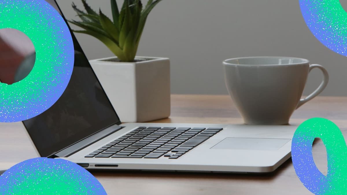 What To Consider Before Making Your Startup Business Website Live